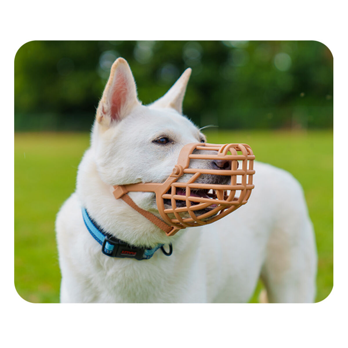 Screenshot S6104894_2