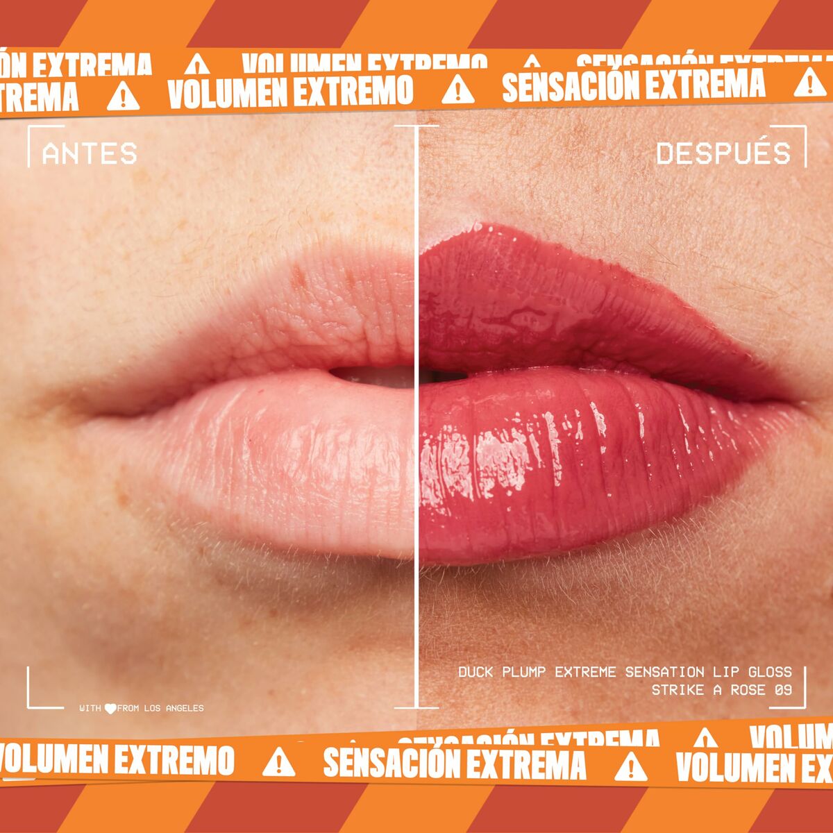 Version 1.0.0 S05121031_2