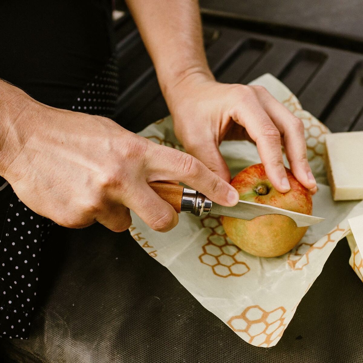 Version 1.0.0 S7923523_10